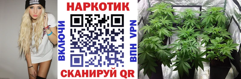 Как найти наркотики Волгоград Галлюциногенные грибы  Марихуана  Героин  Мефедрон  Гашиш  Кокаин 