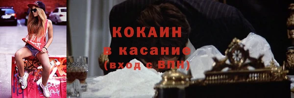 крисы Аркадак