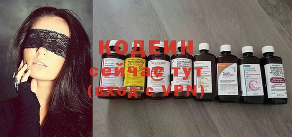 ПСИЛОЦИБИНОВЫЕ ГРИБЫ Арсеньев