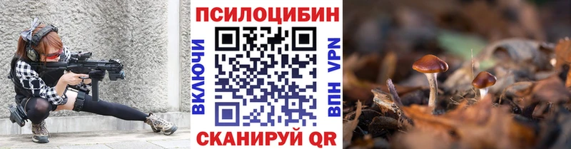 где можно купить наркотик  Волгоград  Псилоцибиновые грибы прущие грибы 